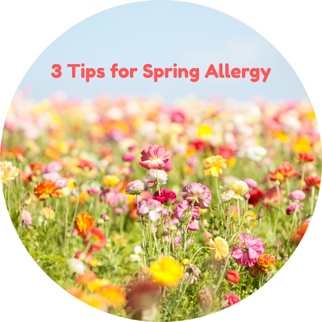 Achoo! Tips for Spring Allergy