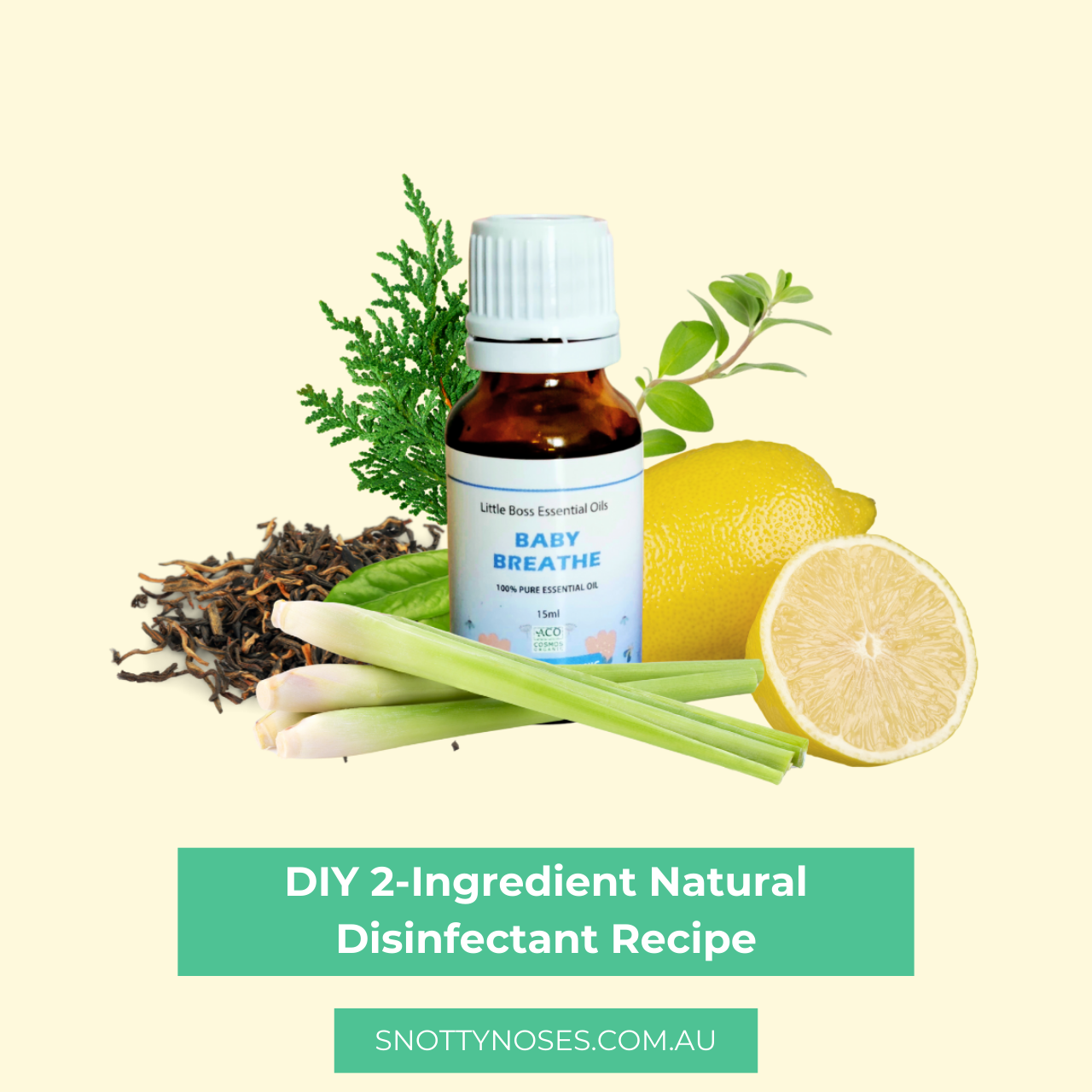 DIY 2-Ingredient Natural Disinfectant Recipe