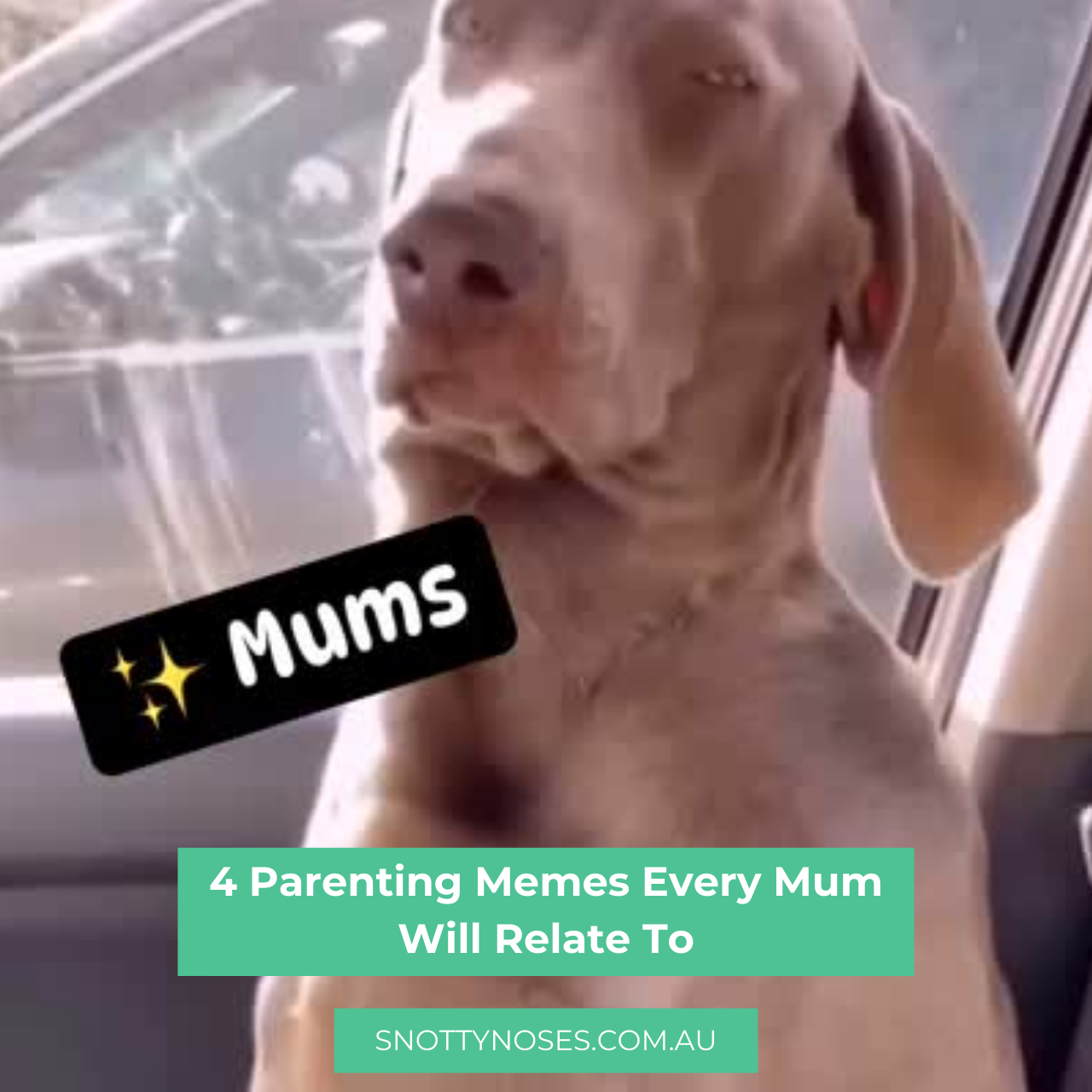 4 Relatable Parenting Memes That Will Have Mums Laughing Out Loud