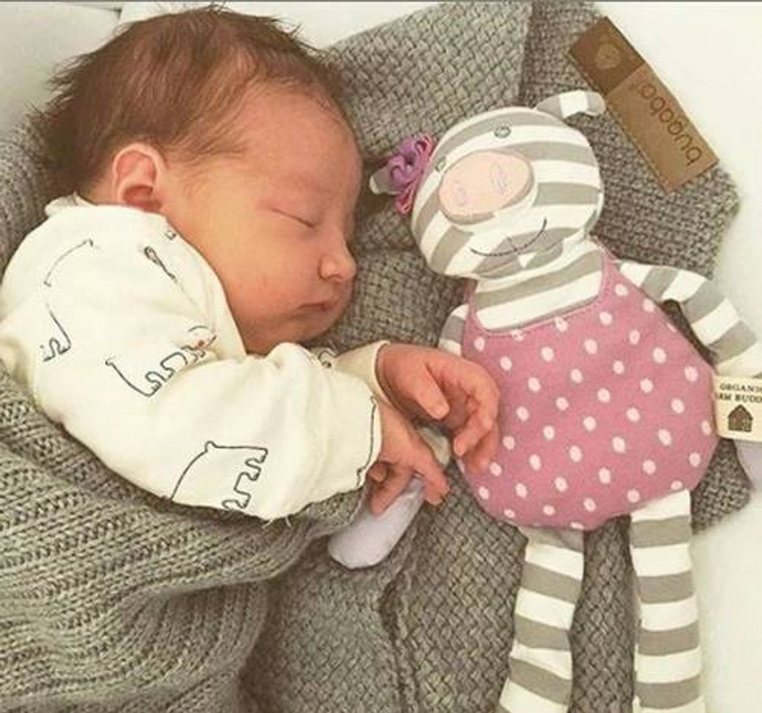Farm Buddies Organic Sleep Toy