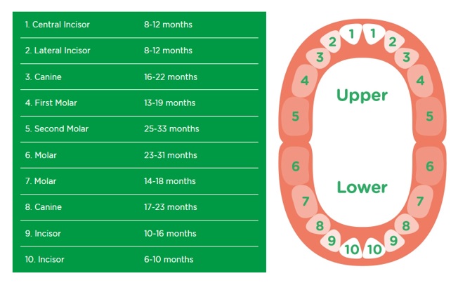 Teething baby store australia